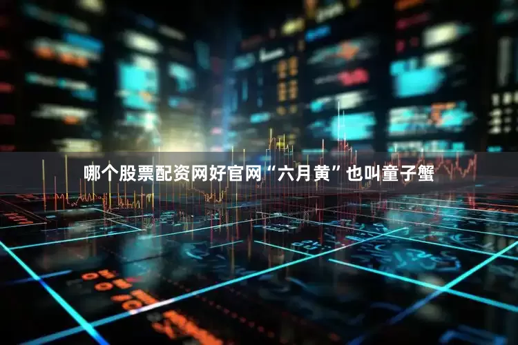 哪个股票配资网好官网“六月黄”也叫童子蟹